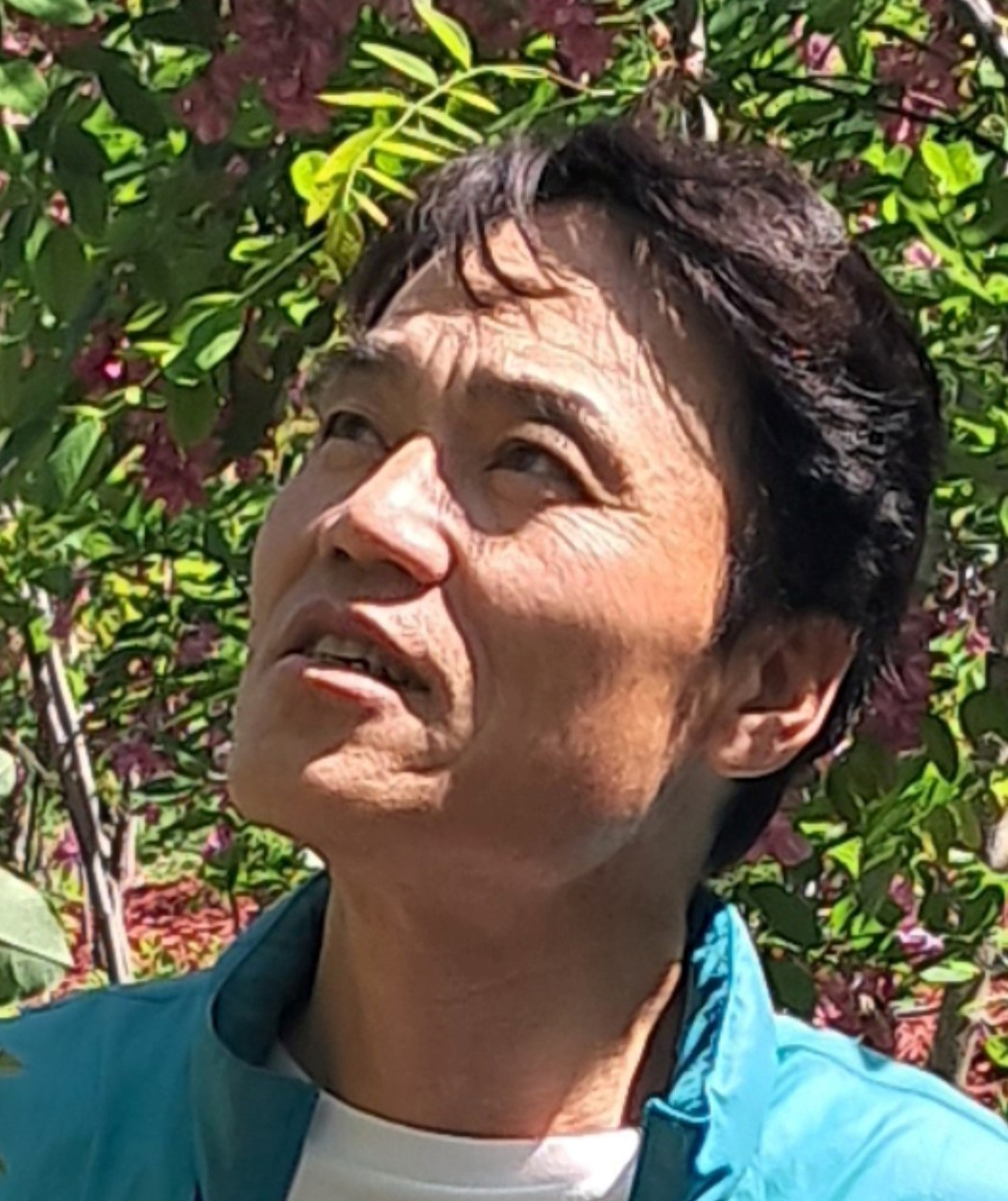 하정필